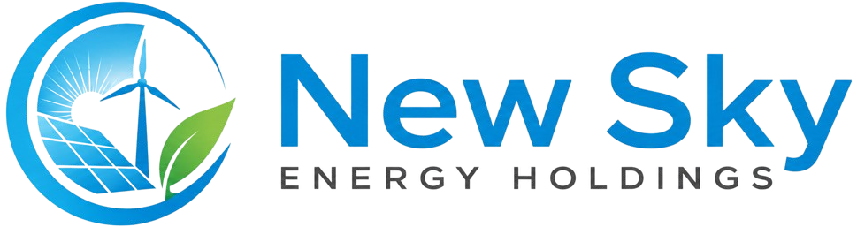 New Energy Holdings